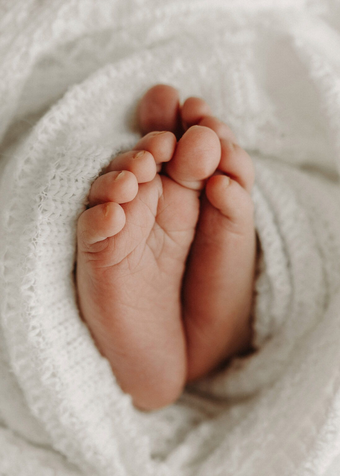 Wittenberg Baby-Fotoshooting, Detailaufnahme Babyfüße im hellen Studio
