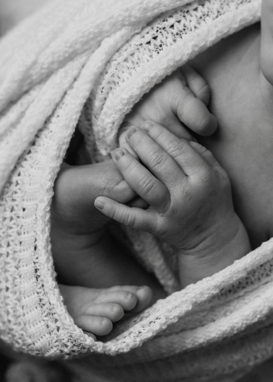 Hochwertige Babyfotografie in Dessau, Wittenberg, Halle Saale, Bitterfeld, Professionelles Baby-Fotoshooting