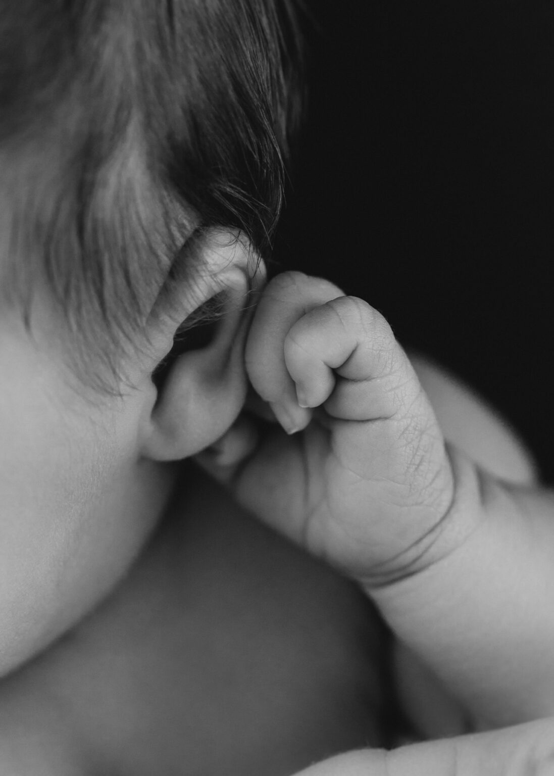 Schwarz-Weiß Babyfoto Halle Saale, Detailaufnahme Neugeborenes Baby