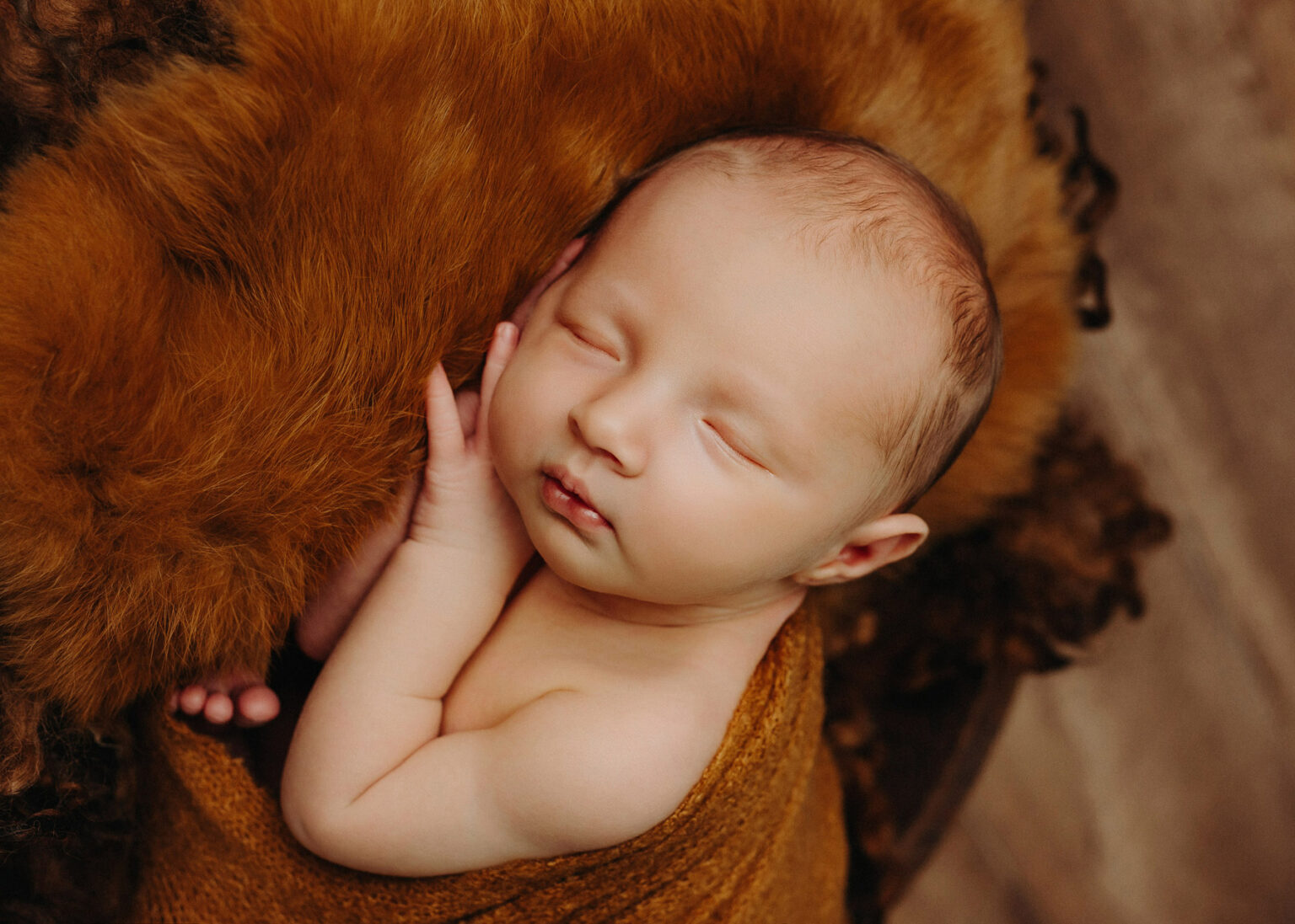 Künstlerische Babyfotografie im Studio, Fotograf Nina Popp Leipzig