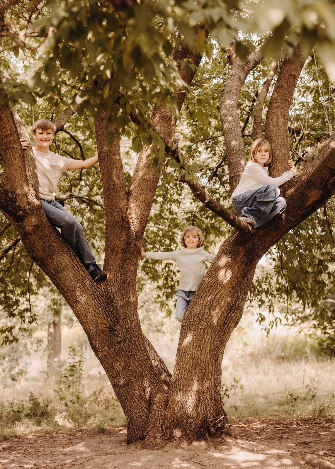 Verspieltes Familienbild im Sommergarten beim Fotoshooting – Fotograf Dessau